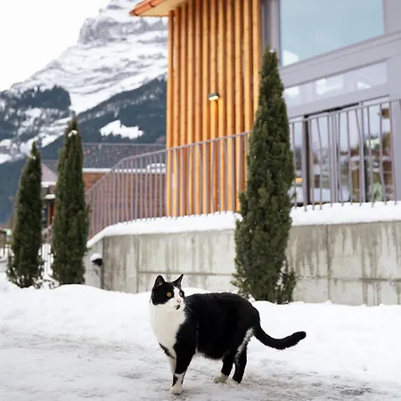 Hotel Eiger Chic Grindelwald